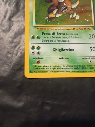 Pinsir 9/64 Jungle Ita Holo
