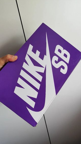 Nike SB Zapatillas