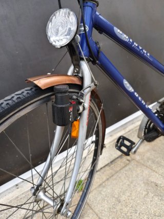 Bicicleta clásica holandesa Batavus Apache