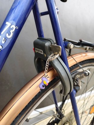 Bicicleta clásica holandesa Batavus Apache