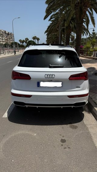 Audi Q5 QUATTRO 3.0 v6 TDI 286cv AUTOMATICO
