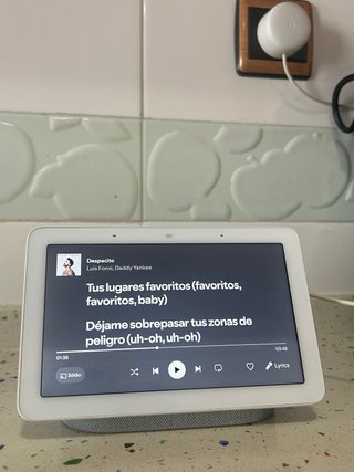 Google Nest Hub