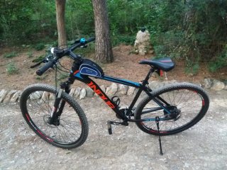 Bicicleta INDUR