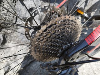 Bicicleta Orbea Alma M50
