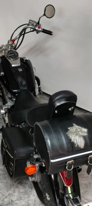 baúl para trasportar + alforjas