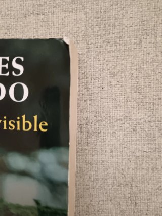 El guardián invisible