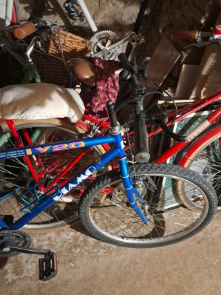 Bicicleta de adulto azul
