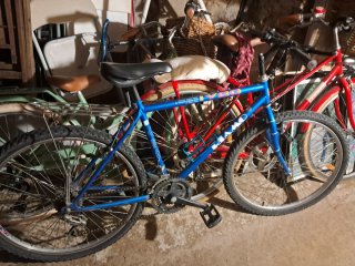 Bicicleta de adulto azul