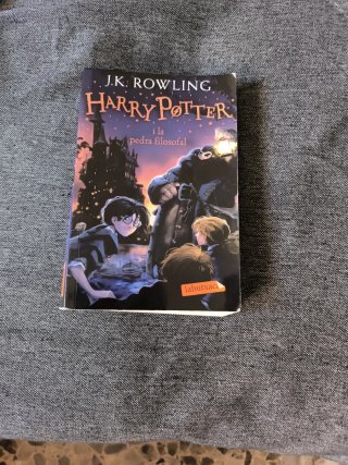 Harry Potter i la pedra filosofal