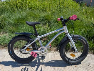 Bicicleta Early Rider Seeker 16