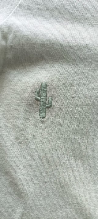 Camiseta Springfield M Cactus Verde Menta