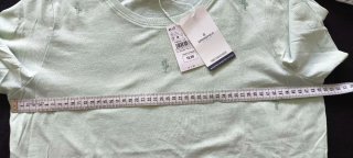 Camiseta Springfield M Cactus Verde Menta