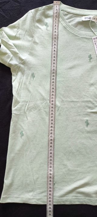 Camiseta Springfield M Cactus Verde Menta
