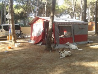 Remolque Comanche Cherokee