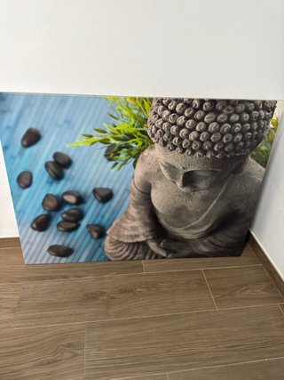 Cuadro Buda Piedras y Planta