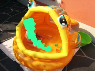 Piscina hinchable Intex pez aprox. 1.24m