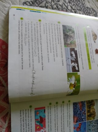 Ciencias de la Naturaleza 3 Primaria