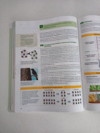 Biologia eta geologia, 1 Batxilergoa