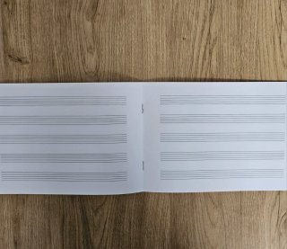 Music in tune 6 (Santillana)