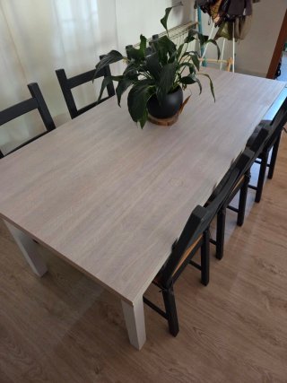 Mesa comedor con 6 sillas