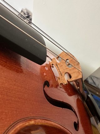 Violino 4/4