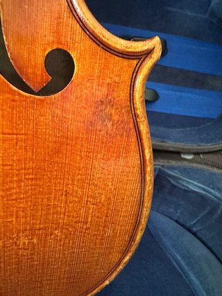 Violino 4/4