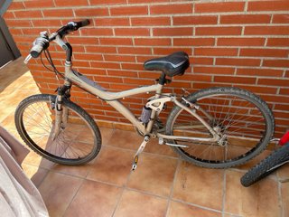 Bicicleta de montaña