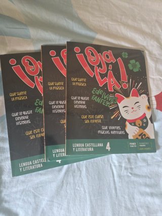 Lengua Castellana y Literatura 4, Segundo Ciclo...