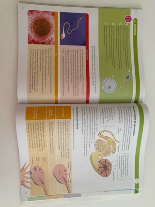 BIOLOGY & GEOLOGY MADRID 3 ESO WORLD MAKERS
