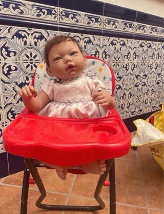 Muñeca Reborn con Accesorios