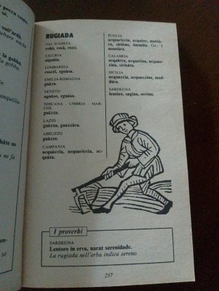 Dizionario dei dialetti d'Italia