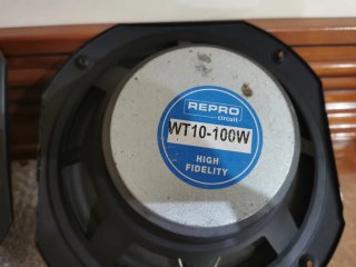 Altavoces Reprocircuit WT-10 Bajos