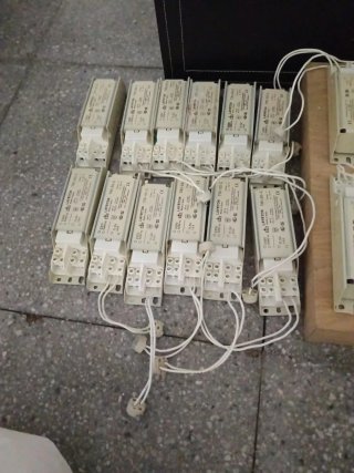 Focos halógenos blancos (10 unidades)