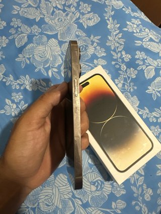 iPhone 14 Pro Max Dorado/Plateado