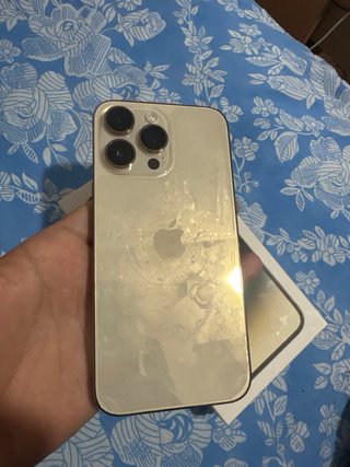 iPhone 14 Pro Max Dorado/Plateado