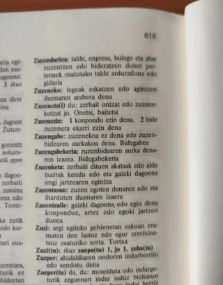 Diccionario euskera Adorez 4