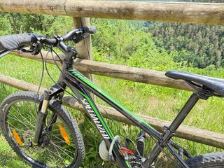 Bicicleta Specialized MTB Talla XS