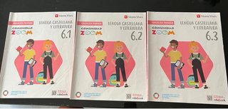 Lengua Castellana y Literatura 6, Educación Pri...