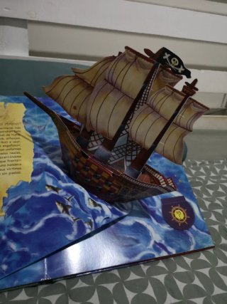 El libro de los piratas
