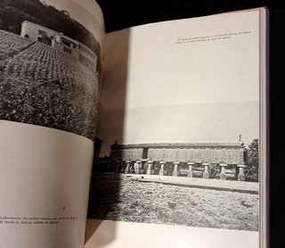 GALICIA. EL CAMPO GALLEGO. G. UNAMUNO. AÑO 1958.