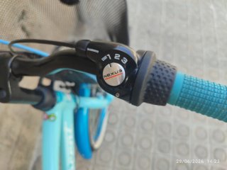 Bicicleta Niña Calidad 20"