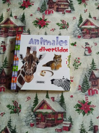 Libro