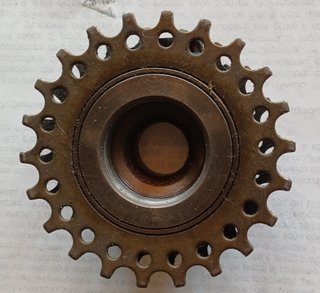 Pacco Pignoni Caimi Castano 5V 14/22