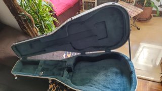 Guitarra Electroacústica Johnson con Funda Rígida