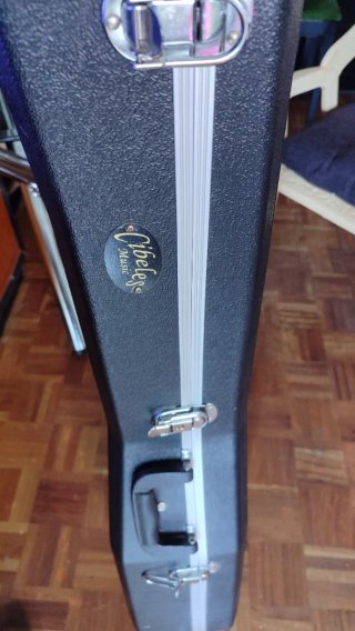 Guitarra Electroacústica Johnson con Funda Rígida