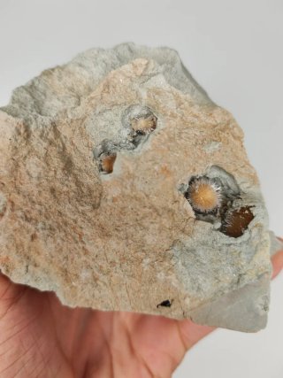 4 Aragonitos Aciculares en Matriz