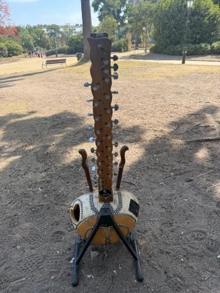 Kora profesional electrificada