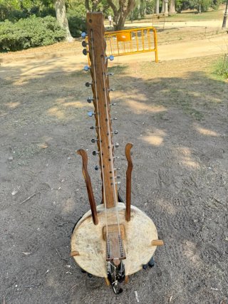 Kora profesional electrificada