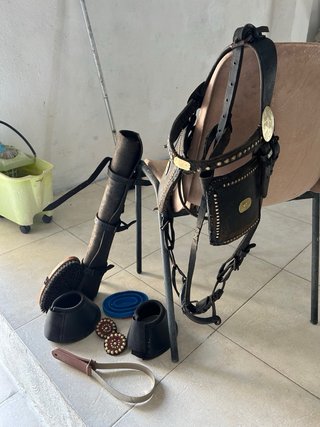 Lote cabezada y accesorios caballo