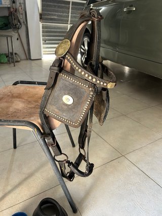 Lote cabezada y accesorios caballo
